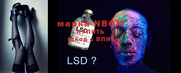 хмурый Алзамай