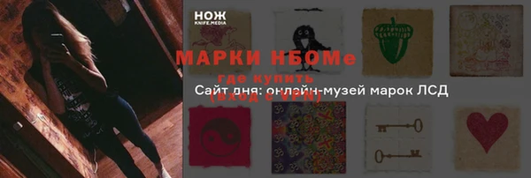 хмурый Алзамай