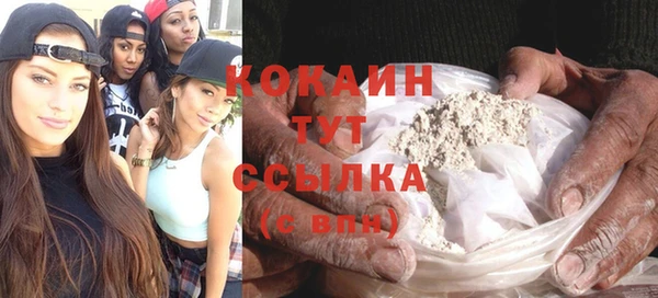 хмурый Алзамай