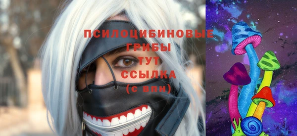 хмурый Алзамай
