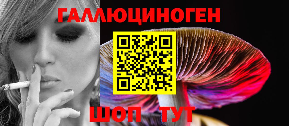 Псилоцибиновые грибы GOLDEN TEACHER  Вход с VPN  Нижний Новгород 