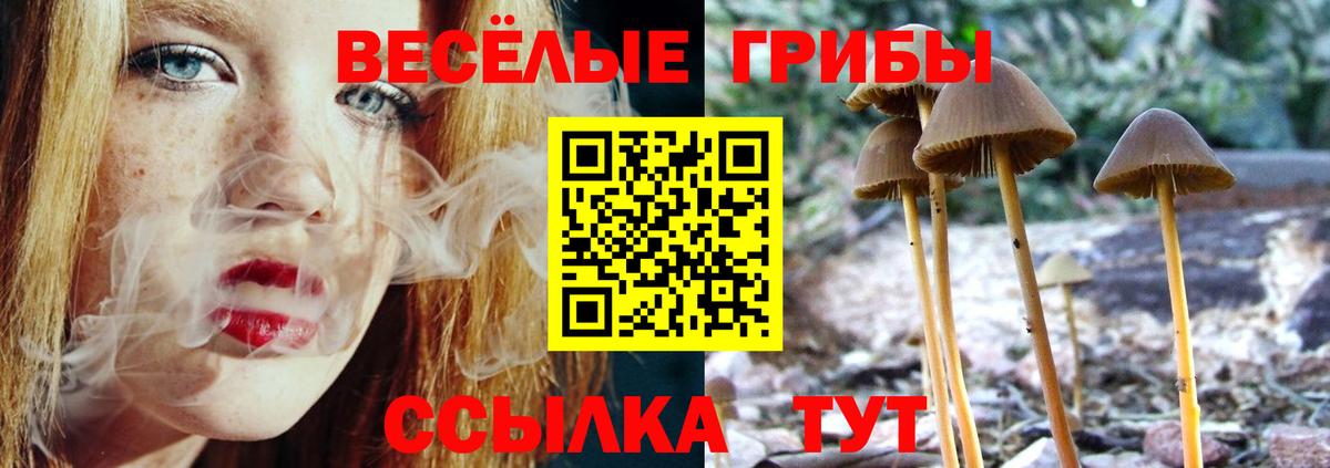 Галлюциногенные грибы мицелий Нижний Новгород